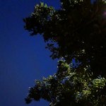 <b>첫남친</b>이랑 <b>첫</b>뽀뽀 <b>첫</b>키스하는거