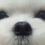 [드루와] 얘들아 악동<b>뮤지션</b> 노래 들어