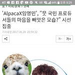 [임영민] <b>영미</b>니 알파카기사 ㅋㅋㅋ또떳당