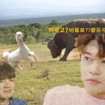 [임영민] 동현이가 들이받았어!  ㅋㅋ