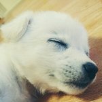 나 지굼 방학 때 예뻐질려고 계획 세우는 <b>중임</b> 시바방^^