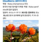 [EXO] 오세훈 머리색 <b>베리</b>ㅋㅋㅋㅋㅋㅋ