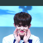 [세븐틴] ㅅㄷ)꿈꿨는데 ...