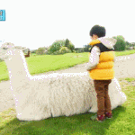[임영민] 녕민이 <b>인성</b>