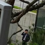 최근 박보검 헤어스타일 jpg