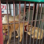 동대문갑 지역구 안규백 국회의원에게 청원합니다.