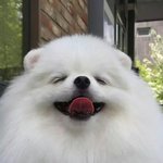 나 남잔데 쌍수 <b>하러</b> 갈 때