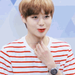 [박지훈] 이제 콘서트 생중계만