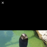 나 <b>액체</b>괴물 좋아하는데