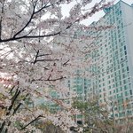 [드루와] 아니 근데 나이먹는게 <b>실감</b>난다