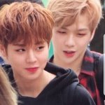 [워너원] 우리 애들 진짜 이쁘다