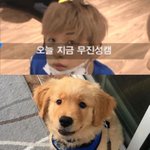 [워너원] 녤 멍뭉미 끝판왕 사진
