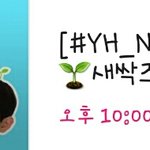 [안형섭] 위에화 열일