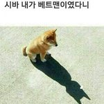[드루와] 솔직히 머글 입장이 꼭 <b>팬코</b>라는 이유가 있어?