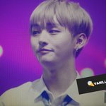 [워너원] 와진짜