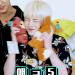 [세븐틴] <b>아악</b> 우지릠 ;;;