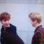 [워너원] 윙녤 <b>복수</b>극.gif(귀여움주의)