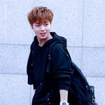[프로듀스2] 박지훈 현아이돌이랑 <b>비교</b>해도