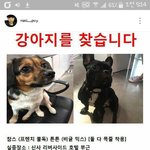 [EXO] 아 멍멍이 꼭 <b>찾기</b>를ㅠㅠ
