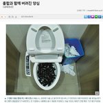 도대체 이런 여자의 심리는 대체 뭘까?