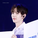 [EXO] 100현이닮았다는애중에