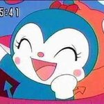 카메라 입문용 추천 좀