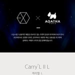[EXO] <b>와이</b>씨 사고싶다캐리어