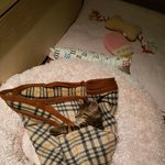울 솜이&amp;사랑이^^