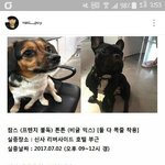 [EXO] 튼튼이 찾아서 다행이야ㅠㅠ