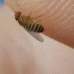 [EXO] <b>폰카메라</b>  성능 오지네 ㅅㅂ