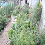 [심리상담] 비오니까 오랜만에 연애, 고민 상담합니다