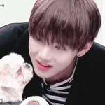 [방탄소년단] 현생을 위해