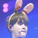 [워너원] ㅅㄷ 아 돈쓸곳이 넘 많댜