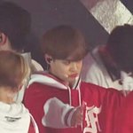 [워너원] <b>수달</b>상은 살면서 한번도 본 적 없어