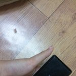 이거 <b>몇</b>년도에 나온건지 <b>알</b> 수 있을까요?