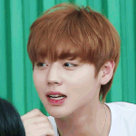 [워너원] 윙깅이 <b>홀림</b>짤 보고 주무세욜ㄹ