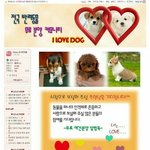 [뉴이스트] 뉴이스트 공카 <b>만우절</b> 이벤틐ㅋㅋㅋㅋㅋㅋㅋㅋ