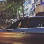 모기 씨ㅡ발아