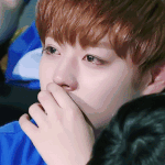 [워너원] 수헬<b>리베</b>붕탄질산섹시