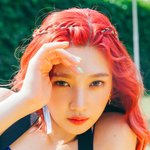 [레드벨벳] 박조이 <b>이번</b> <b>활동</b>에서 903% 레전드 찍는다