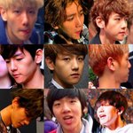 [EXO] 톡선보는데 지새끼 까이니까 ㅂㅌ앰 바로 <b>본성</b> 드러내네