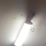 방에벌레들어옴ㅅㅂ