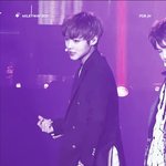 [박지훈] 윙깅이 실물<b>간접</b>체험 (+움짤추가함)