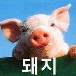 살빠지는 춤 <b>추고</b> 왔는데