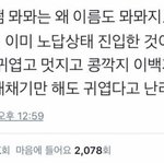 [워너원] 나 요즘 자주 드는 생각이