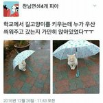얘들아 내일 시험 끝나는 학교 있어??