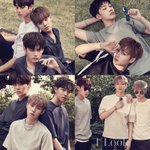[워너원] 우리애들 슈스다 슈스