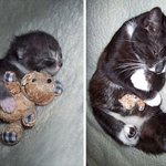 인형 꼭 껴안는 <b>사랑둥이들</b>