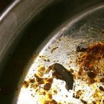 [개깊은빡침] <b>족발</b>에서 달팽이나왔어요!!