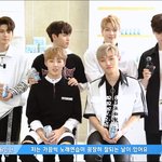 [워너원] 하이트 ㄹㅇ 거짓말침